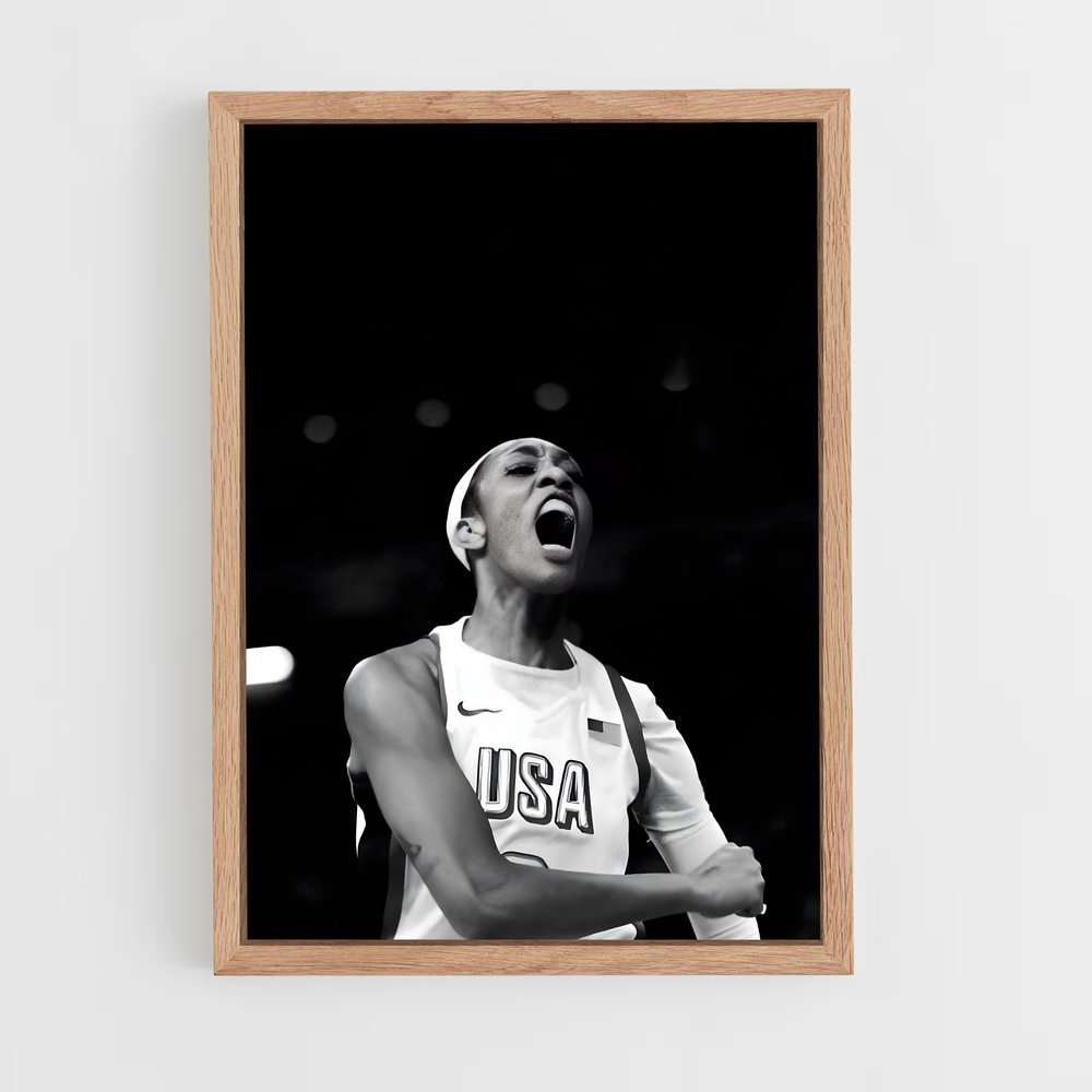 Poster wilson basketball (vue 4)